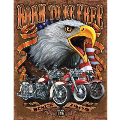 Plechová cedule Born To Be Free 40 cm x 32 cm – Zboží Mobilmania