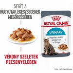 Royal Canin Veterinary Diet Cat Renal with Beef Feline 12 x 85 g – Hledejceny.cz