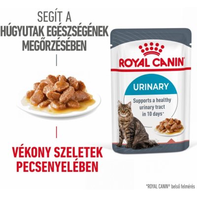 Royal Canin Veterinary Diet Cat Urinary S/O kousky ve šťávě 12 x 85 g – Zboží Mobilmania