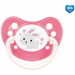 Canpol babies latex anatomický Bunny & Company modrá 1 ks – Zboží Dáma