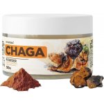 Vitateka Čaga prášek 50 g – Hledejceny.cz