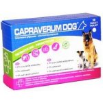 Capraverum Dog probiotikum-prebiotikum 30 tbl – Zboží Mobilmania