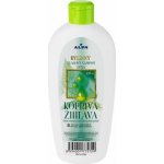 Luna bylinný šampon kopřivový 430 ml – Hledejceny.cz