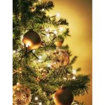 OSRAM Vánoční sada LED LK80 LED WW teplá bílá – Hledejceny.cz