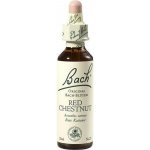 Bachovy květové esence Kaštan červený Red Chestnut 20 ml – Hledejceny.cz