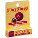 Burt´s Bees Lip Care regenerační balzám na rty (with Pomegranate Oil) 4,25 g