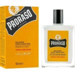 Proraso Wood and Spice balzám po holení 100 ml – Zboží Dáma