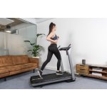 Flow Fitness DTM400i – Hledejceny.cz