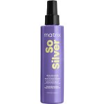 Matrix Total Results So Silver All-In-One Spray 200 ml – Hledejceny.cz