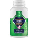 Cartilan CBD+ 40 tablet – Hledejceny.cz