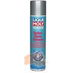 Liqui Moly 1609 Pěna na čištění pneumatik 400 ml – Zbozi.Blesk.cz