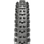 Maxxis Dissector 29x2.40 kevlar – Sleviste.cz