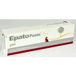 ICF Epato pasta plus 2 x 15 ml – Zbozi.Blesk.cz