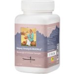 TCM Herbs NÁPOJ ČÍNSKÝCH MUDRCŮ 200 g – Hledejceny.cz