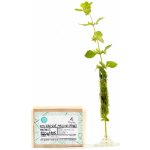 Alchymistky, Mýdlo na praní pevné máta peprná 500 g – Sleviste.cz