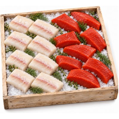 BOXXI Box našich divochů Losos & Treska 2400 g – Hledejceny.cz