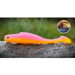 RedBass Twister Kixter Tutti Frutti UV COLOR L 100 mm – Hledejceny.cz