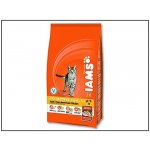 Iams ProActive Health Adult kuře 10 kg – Hledejceny.cz