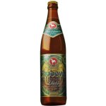 CHODOVAR 11 Zlatá 4,5% 0,5 l (sklo) – Zboží Dáma