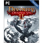 Divinity: Original Sin 2 – Zboží Živě