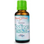 Bylinné kapky Hadinec (Echium) tinktura 30 ml – Hledejceny.cz
