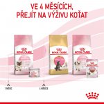 Royal Canin BabyCat Instinctive 195 g – Hledejceny.cz