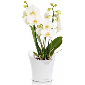 Samozavlažovací květináč Lechuza Orchidea bílá 18 x 20