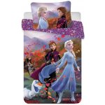 Jerry Fabrics povlečení Frozen 2 Wind 100 x 135 cm 40 x 60 cm – Zboží Dáma