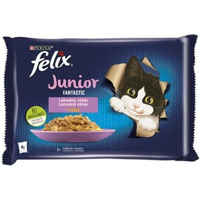 FELIX Fantastic cat junior kura&losos želé 4 x 85 g – Zboží Mobilmania