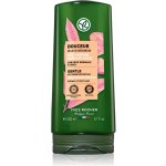 Yves Rocher Douceur with Organic Chestnut Milk kondicionér 200 ml – Zboží Dáma