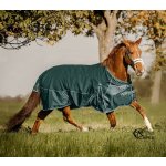 Waldhausen Deka výběhová Comfort fir green – Sleviste.cz