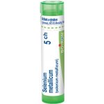 SELENIUM METALLICUM POR 5CH GRA 1X4G – Hledejceny.cz