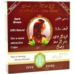 Henna tmavě hnědá Egyptská 100% přírodní na vlasy 100 g – Hledejceny.cz