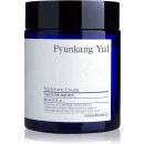 Pleťový krém Pyunkang Yul Moisture Cream hydratační krém 100 ml