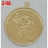 Sportovní medaile Medaile 248 fotbal