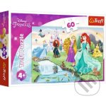 TREFL Seznamte se s Disney princeznami 60 dílků – Hledejceny.cz