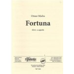 Fortuna – Hledejceny.cz