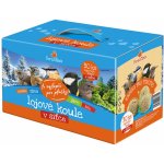 FORESTINA Koule lojová 30 x 90 g – Zbozi.Blesk.cz