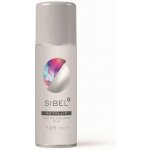 Sibel Hair Colour barevný sprej na vlasy stříbrná – Sleviste.cz