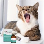 JM SANTE Vet Protector Ústní dutina sprej tekutina do ústní dutiny pro psy a kočky - 30 ml – Zboží Dáma