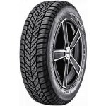 Diplomat Winter ST 195/65 R15 91T – Hledejceny.cz