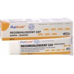 Aptus Reconvalescent Cat pasta pro kočky 60 g – Hledejceny.cz