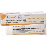 Aptus Reconvalescent Cat pasta pro kočky 60 g – Zbozi.Blesk.cz