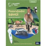 Albi Kouzelné čtení Moje vlastní encyklopedie Dvoulist Jehličnaté stromy – Zbozi.Blesk.cz