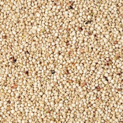 Fauna Hradil Čirok bílý Dari 10 kg – Zboží Mobilmania