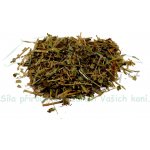 Koňské bylinky Borůvka nať Myrtilli herba 1 kg – Sleviste.cz