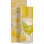 Elizabeth Arden Green Tea Honeysuckle toaletní voda dámská 100 ml – Hledejceny.cz