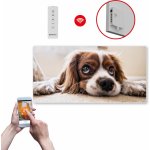 Termofol SWT 1000 - WIFI – Sleviste.cz