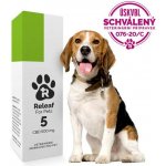 Releaf 5 CBD olej pro psy 10 ml – Hledejceny.cz