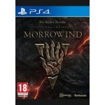 The Elder Scrolls Online: Morrowind – Hledejceny.cz